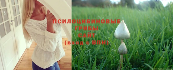 соль ск Алзамай