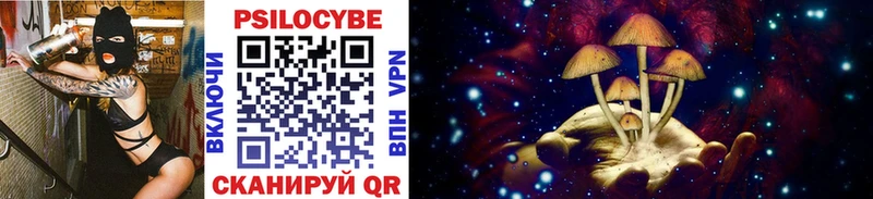 купить наркоту  Арамиль  shop как зайти  Псилоцибиновые грибы Psilocybe 